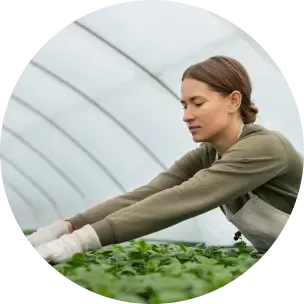 We invite universities and specialists to collaborate. Add your cultivation charts and/or get free access to the software.